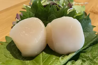 Scallop Sashimi