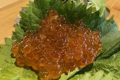 Salmon Roe